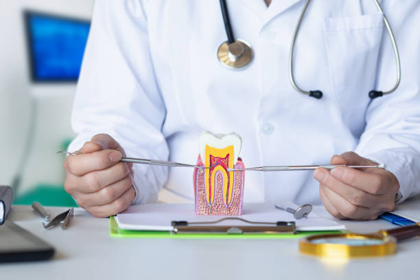 Best Orthodontic Emergency Dentist in Red Bank, TN